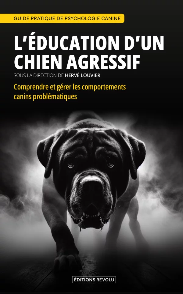 L'éducation d'un chien agressif